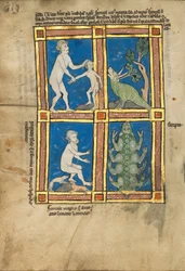 Praesillus; Eine behaarte Frau von der Insel Gorgade; Ein Skorpion